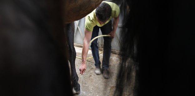 Uno de los últimos usuarios de El Asturcón atendiendo a su propio caballo en las instalaciones. 