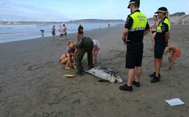 El guarda del Principado tomando las pruebas al cadáver del delfín