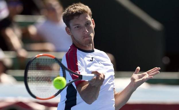 El tenista gijonés Pablo Carreño. El tenista gijonés Pablo Carreño.