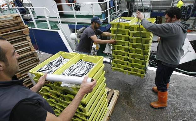La flota pesquera tendrá cuotas personalizadas a partir de 2019 La flota pesquera tendrá cuotas personalizadas a partir de 2019