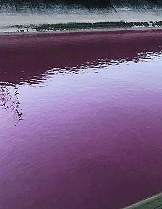 El agua bajaba completamente roja. / E. C.