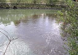 Ecologistas denuncian un vertido en la Ría de Avilés
