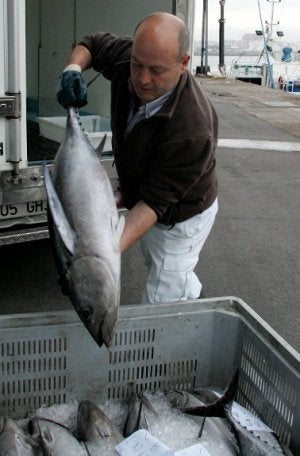 Un comercializador retira el pescado recién adquirido. :: SEVILLA/