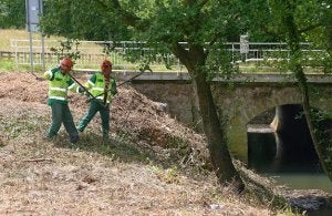 Operarios de Tragsa durante las labores de limpieza del cauce del río Pielgo, en Antromero. :: P. G.-P./