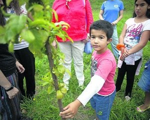Niños y niñas en torno a uno de los árboles. ::
ANDRÉS CASTILLO/