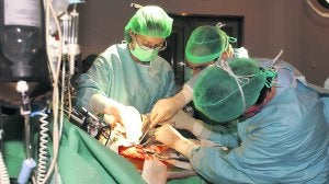 Trasplante de hígado practicado en el Hospital Central de Asturias. :: JESÚS DÍAZ/
