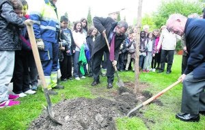 Un momento de la plantación del árbol en Ciaño. ::
J. C. ROMÁN/