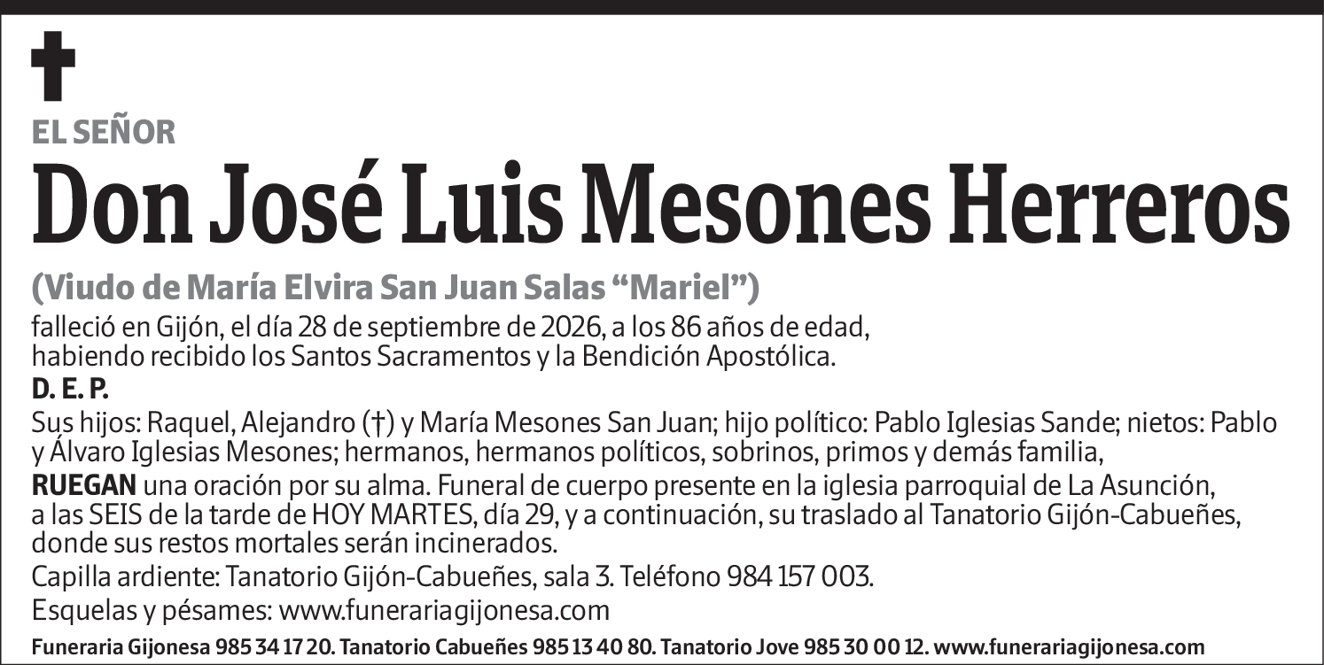 José Luis Mesones Herreros