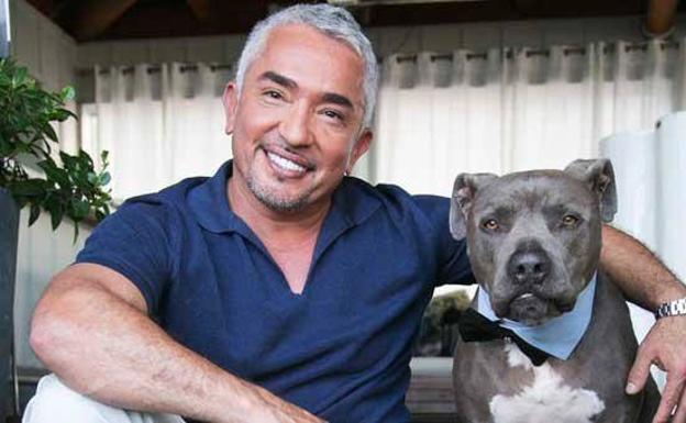 sector vendedor comprar La dramática historia de César Millán, el encantador de perros | El Comercio