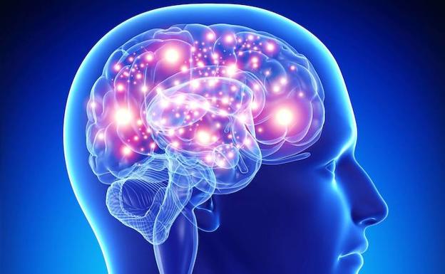 ¿La hipertensión arterial causa niebla en el cerebro?