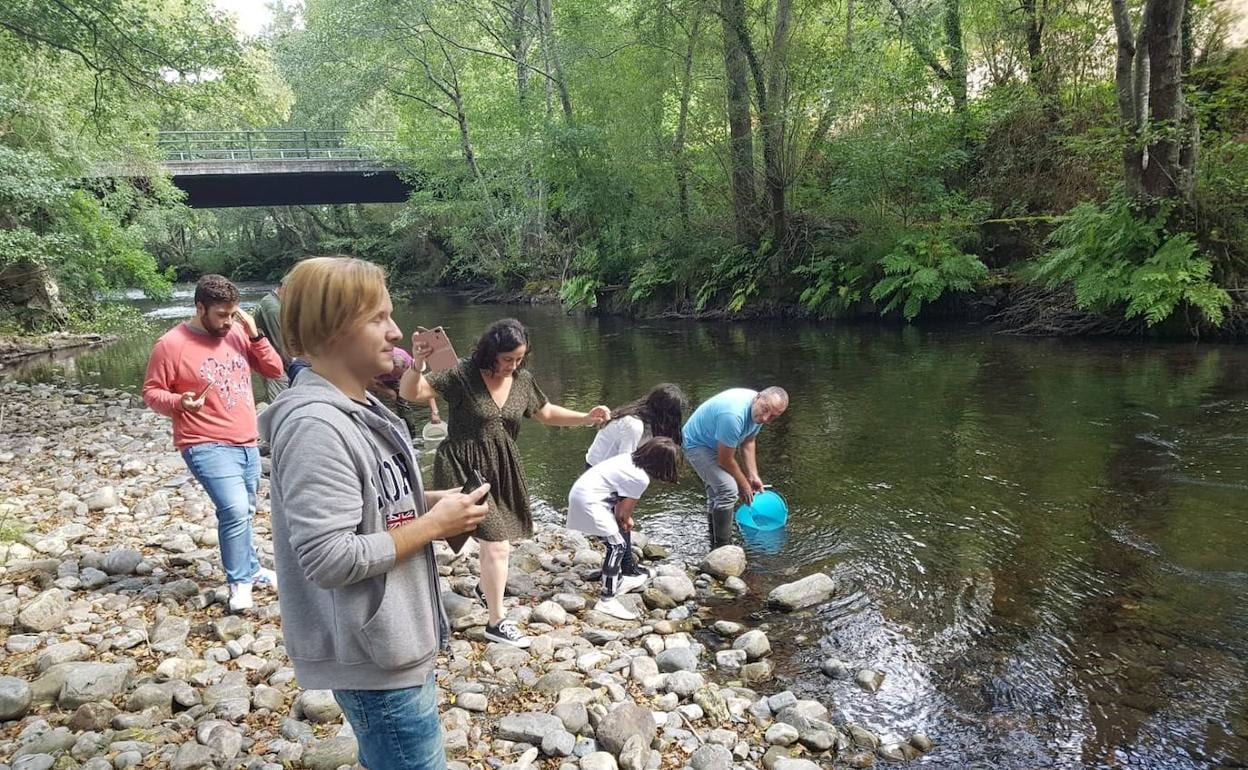 El río Ibias recibe 28.000 alevines de trucha | El Comercio