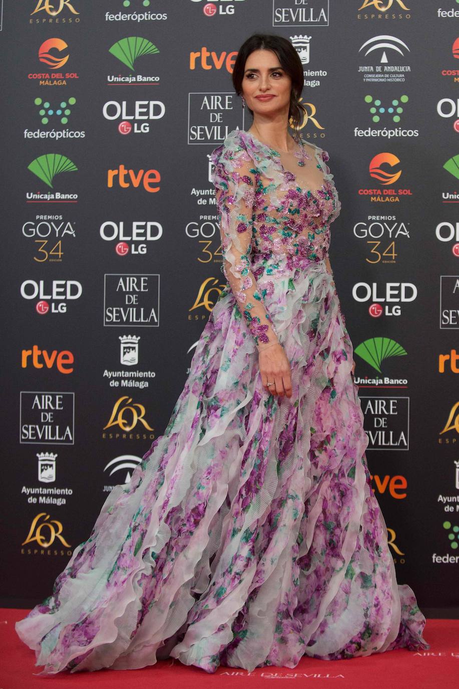 Fotos Los mejores looks de la alfombra roja en los Premios Goya El