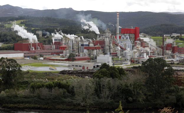 La planta de Ence, en Navia, cuenta con una planta de biomasa de 77 MW. /P. CITOULA