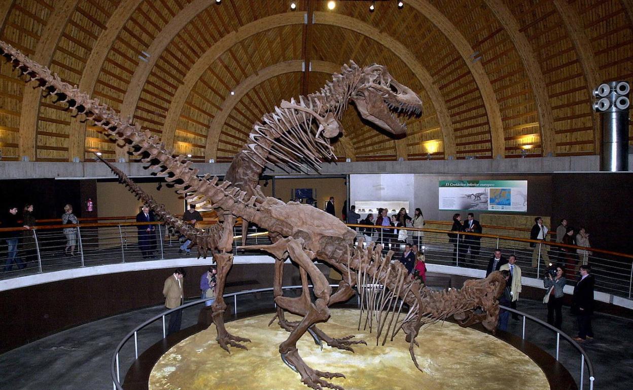 femenino Recomendado Pensionista Cuántos tiranosaurios rex hubo en el mundo? | El Comercio