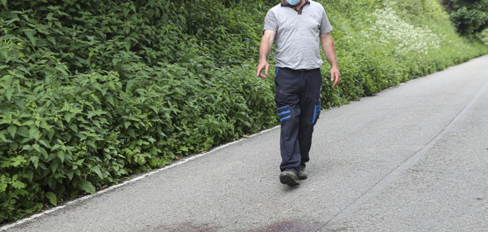 La mujer atacada por un oso en Cangas del Narcea recibe el alta hospitalaria - Vimarsana News