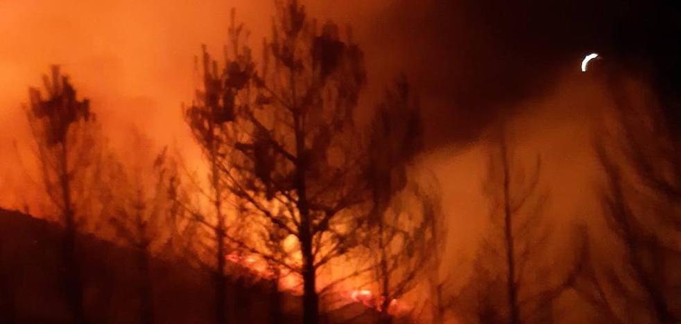 El Principado amplía el despliegue para sofocar un incendio forestal en Ibias - Vimarsana News