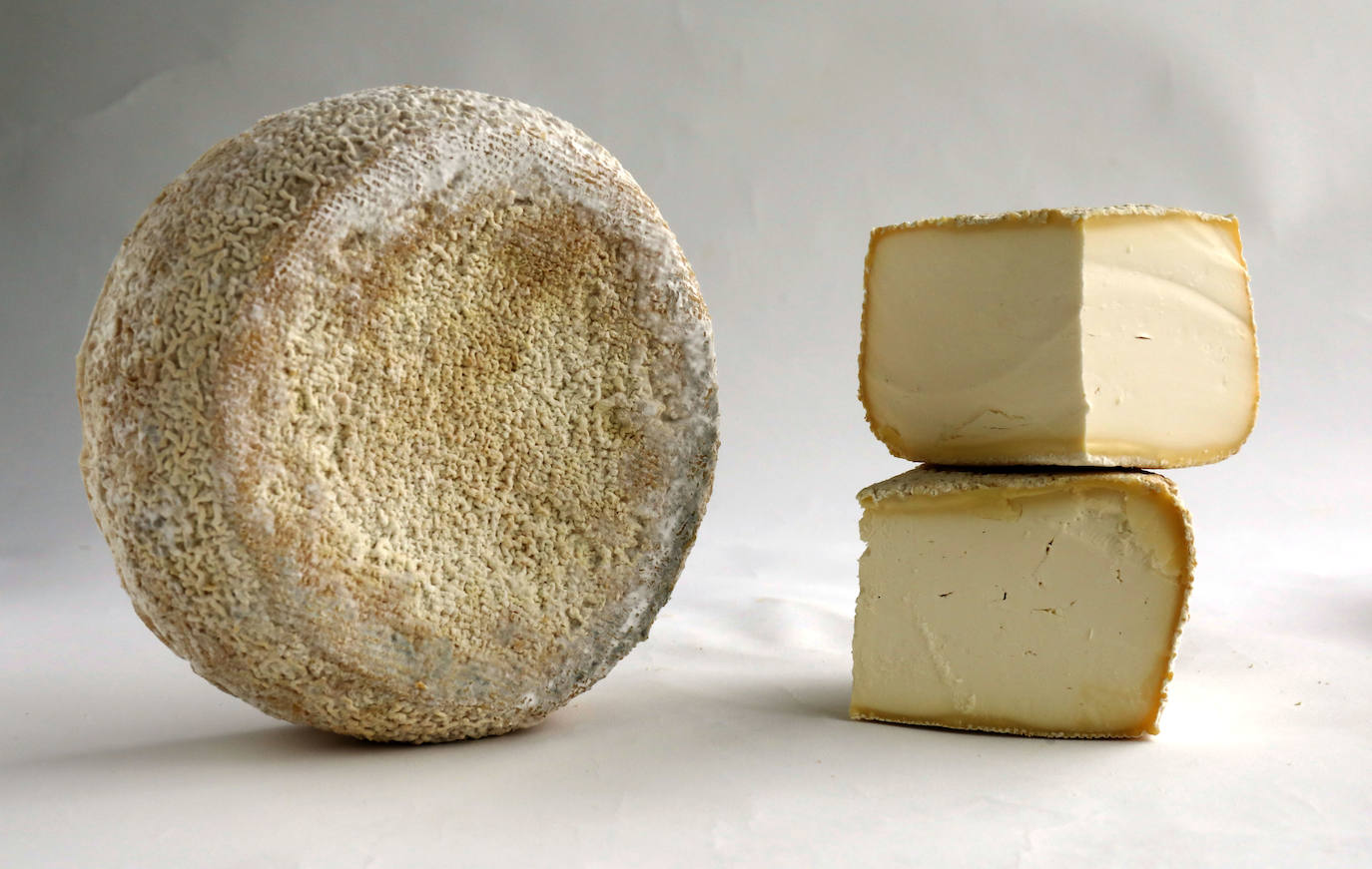 Cuatro quesos asturianos, premiados en Salón Gourmets | El Comercio