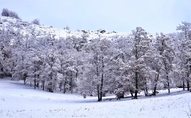 Las espectaculares imágenes que deja la nieve en Asturias
