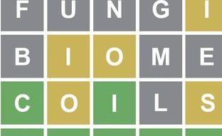 'Wordle' ya ha enganchado a miles de usuarios./A.W.