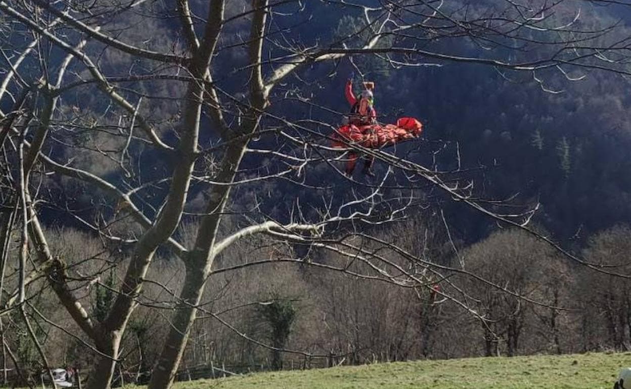 Herido tras quedarse atrapado en un árbol mientras podaba en San Martín del  Rey Aurelio | El Comercio